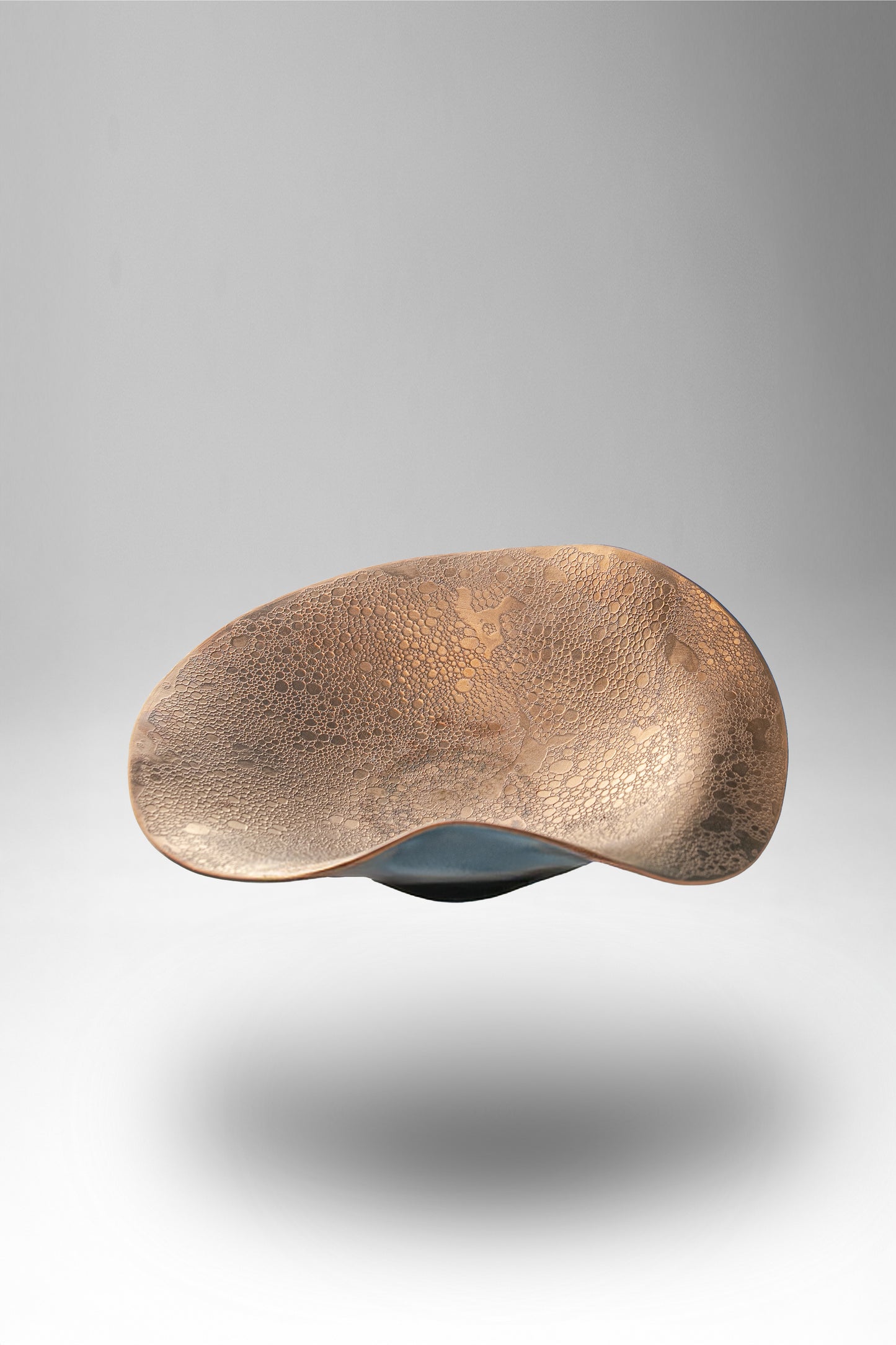 【旅皿】泡化粧 ブロンズ カービー鉢