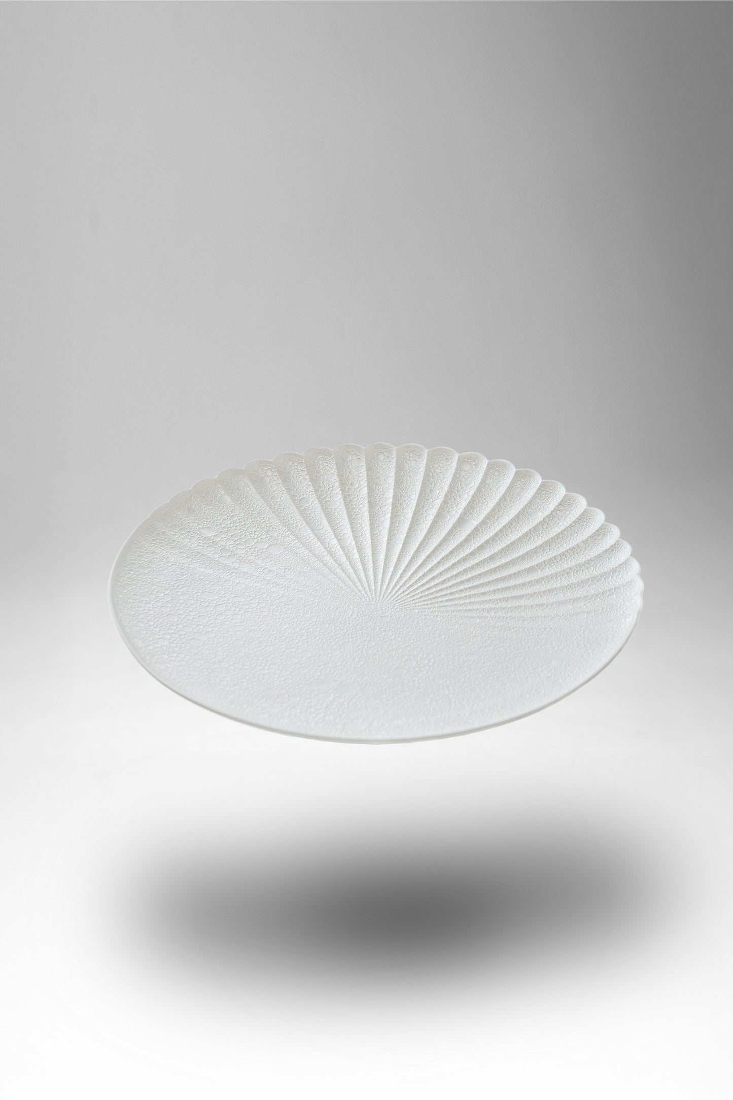 【旅皿】泡化粧　パール　片菊彫22cmプレート