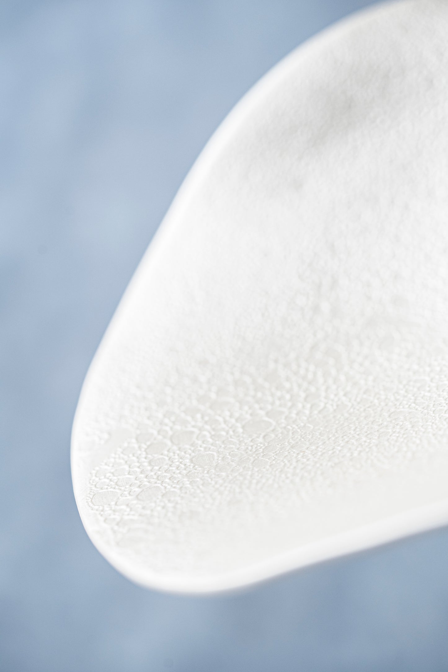 【旅皿】泡化粧パールカービー鉢